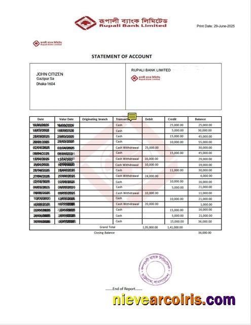 Bangladesh Rupali Bank statement of account Word and PDF